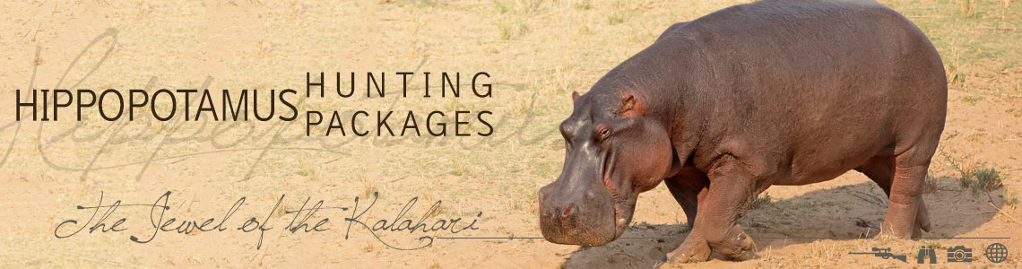 Hunting Hippopotamus in South Africa