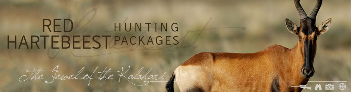 Hunting Red Hartebeest with Tinashe