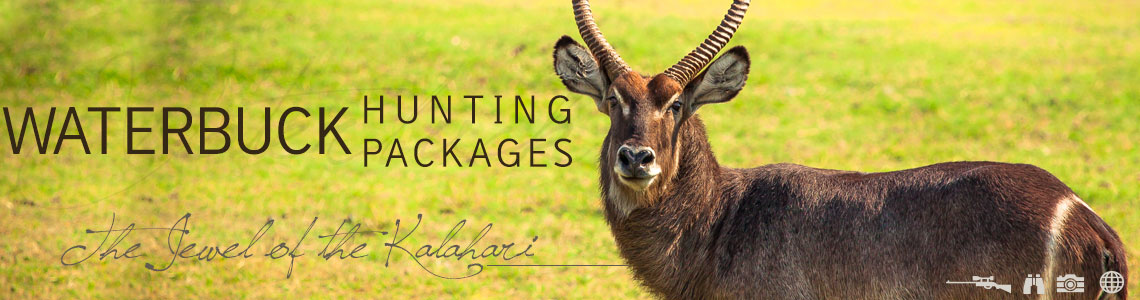 Waterbuck Hunting Packages